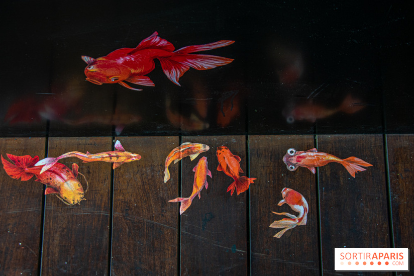 Exposition à Fluctuart, Plongée en eaux troubles - nos photos