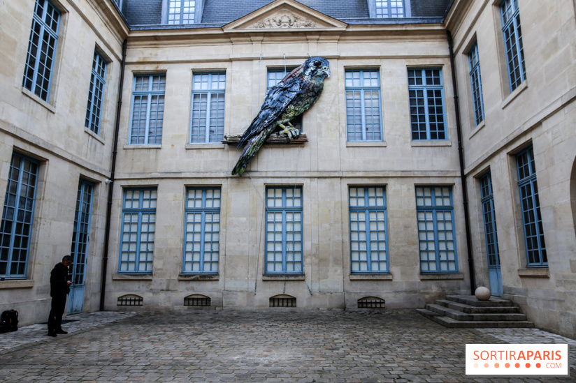 Incursions sauvages, nos photos