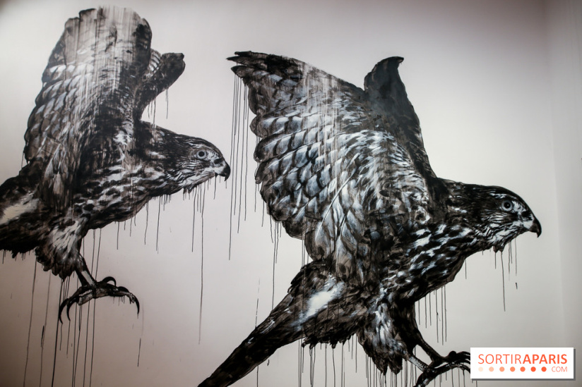 Incursions sauvages, nos photos