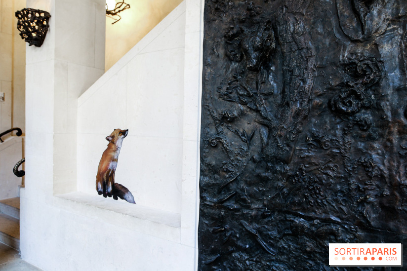 Incursions sauvages, nos photos