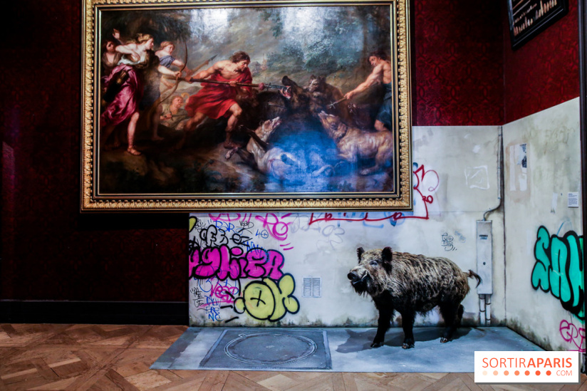 Incursions sauvages, nos photos