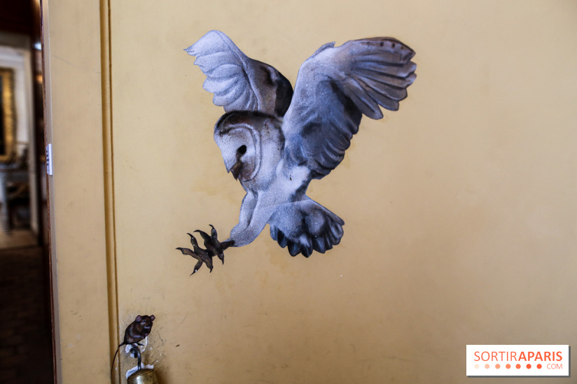 Incursions sauvages, nos photos