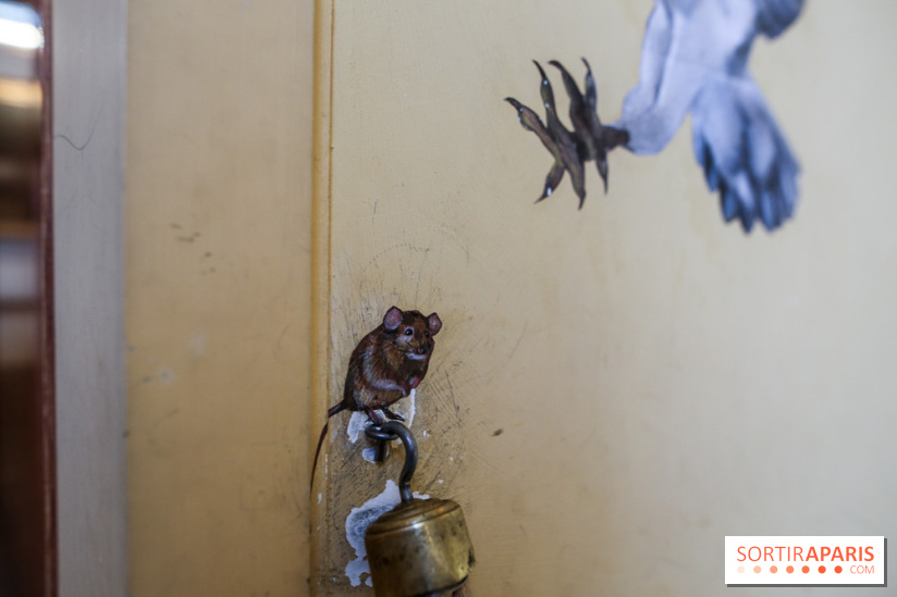 Incursions sauvages, nos photos