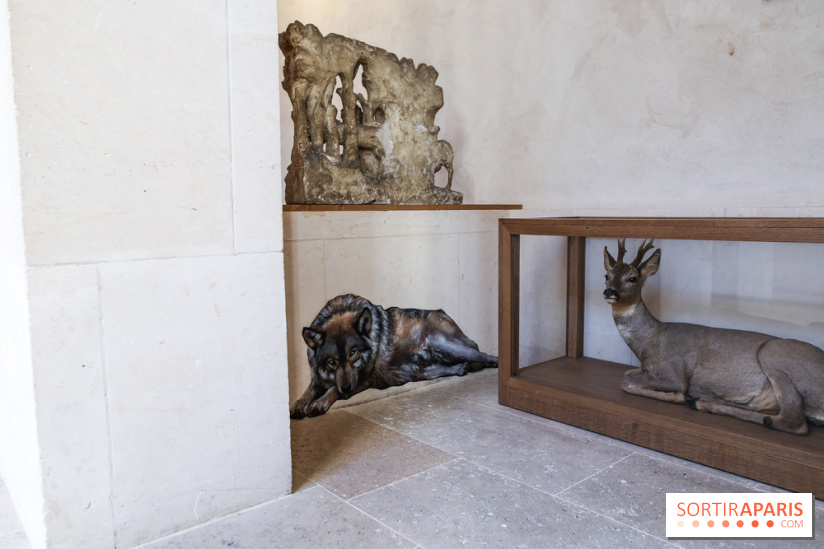 Incursions sauvages, nos photos