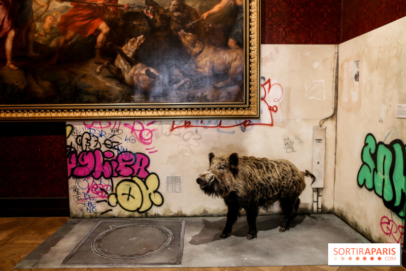 Incursions sauvages, nos photos