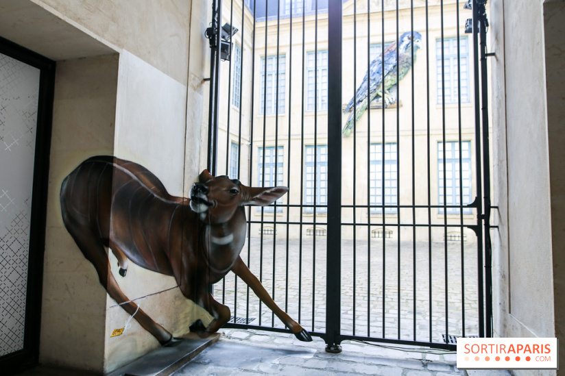 Incursions sauvages, nos photos