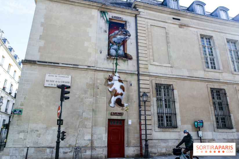 Incursions sauvages, nos photos