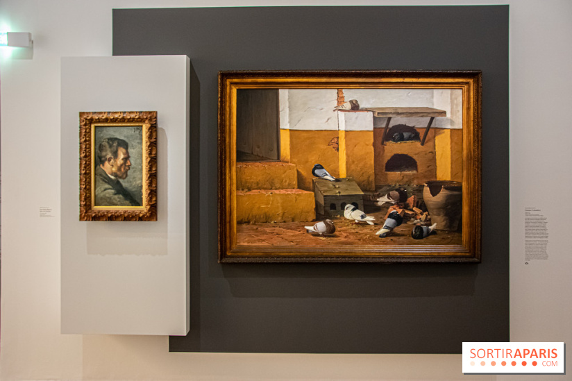 Maya Ruiz-Picasso, nos photos de l'exposition au Musée Picasso