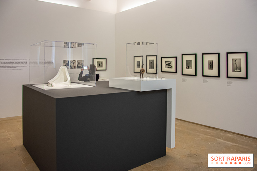 Maya Ruiz-Picasso, nos photos de l'exposition au Musée Picasso