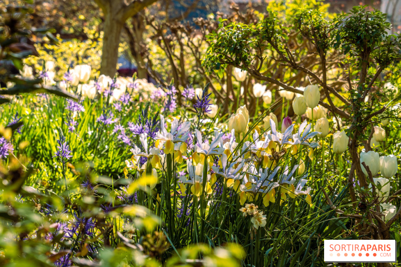 Photos : le Parc des Impressionnistes de Rueil-Malmaison