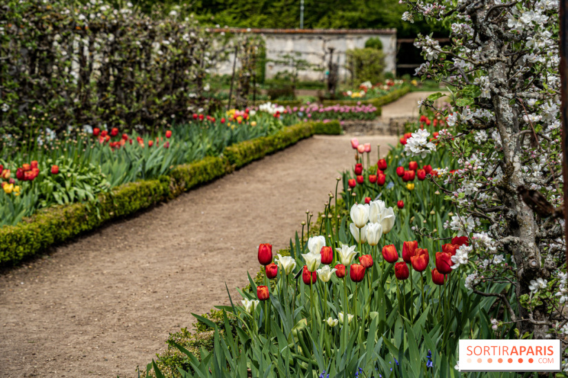 Le Château de Saint-Jean de Beauregard et son Jardin remarquable