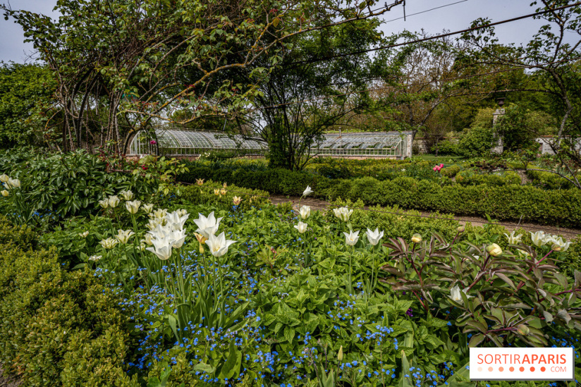 Le Château de Saint-Jean de Beauregard et son Jardin remarquable