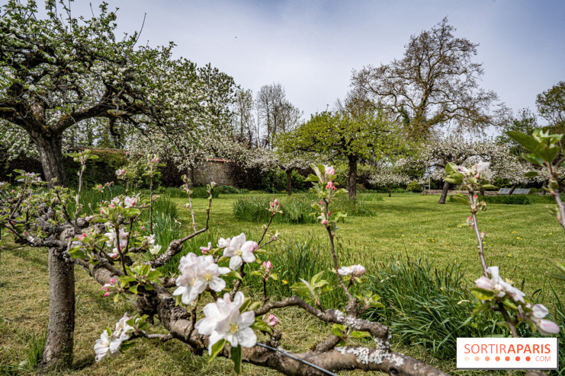 Le Château de Saint-Jean de Beauregard et son Jardin remarquable