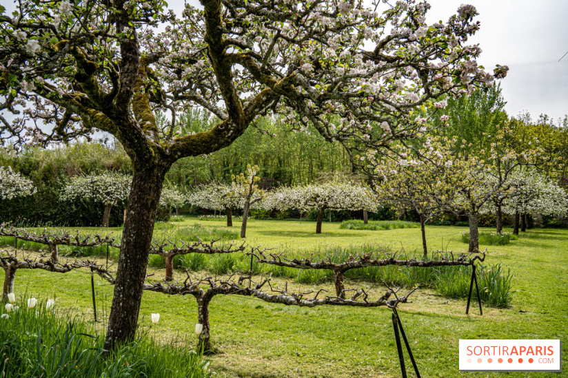 Le Château de Saint-Jean de Beauregard et son Jardin remarquable