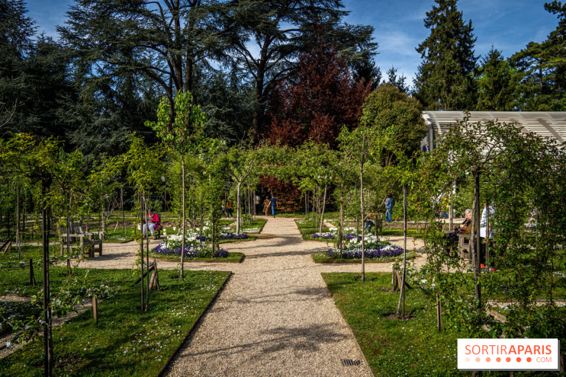 Le Jardin du musée AlbertKahn qui