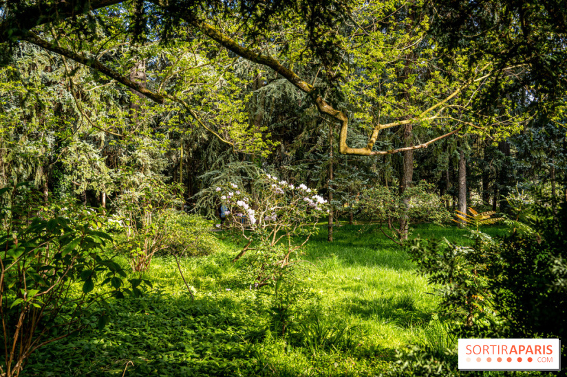 Les jardins du Musée Albert Kahn, nos photos 