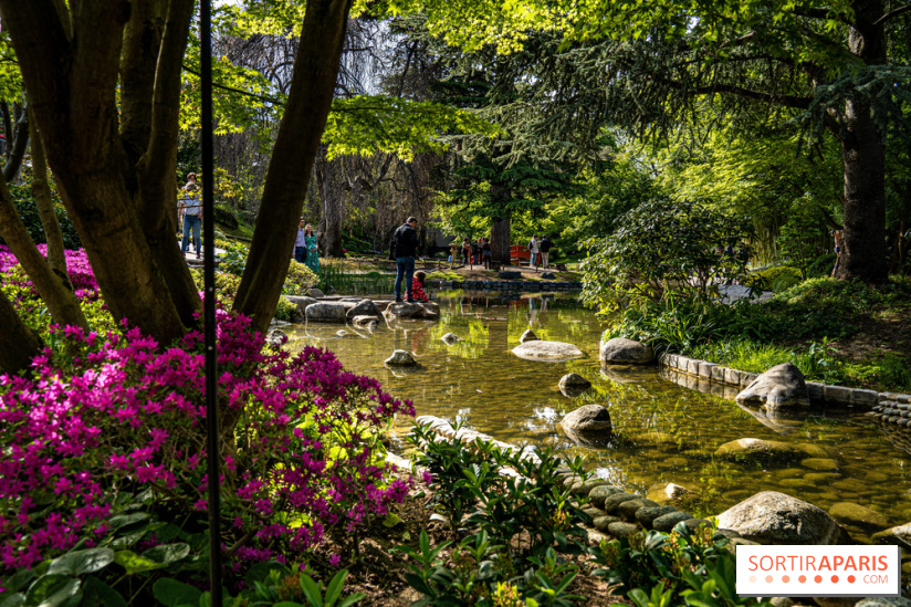 Les jardins du Musée Albert Kahn, nos photos 