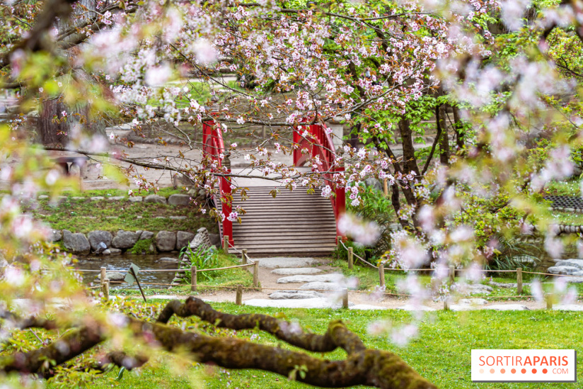Les jardins du Musée Albert Kahn, nos photos