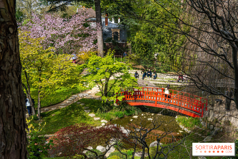 Les jardins du Musée Albert Kahn, nos photos  -  A7C8855 HDR