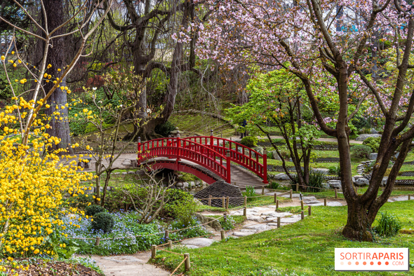 Les jardins du Musée Albert Kahn, nos photos