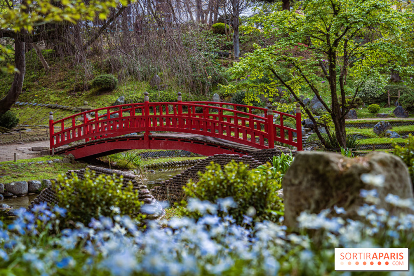 Les jardins du Musée Albert Kahn, nos photos