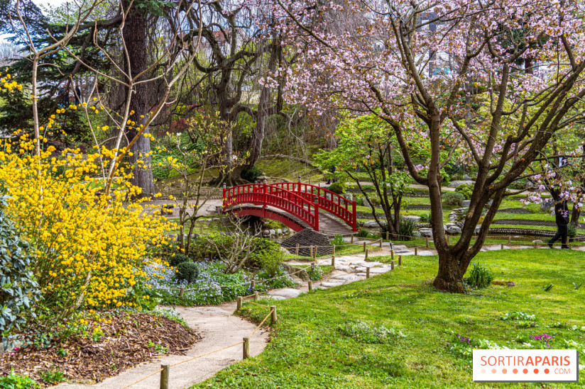 Les jardins du Musée Albert Kahn, nos photos