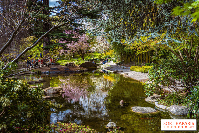 Les jardins du Musée Albert Kahn, nos photos