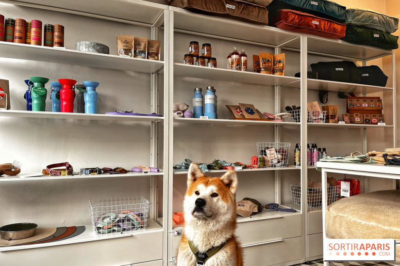 Barkers+Brothers, le concept store canin pour chouchouter son chien à Montmartre