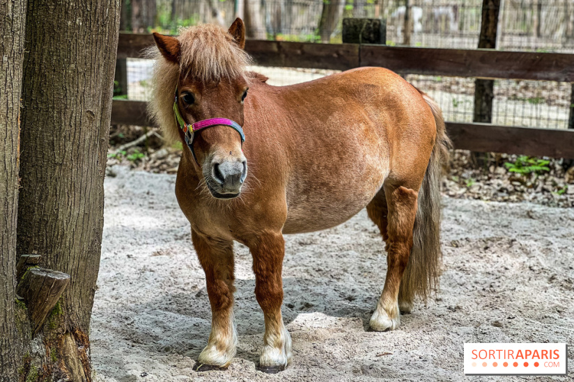 Aventure Floreval, l'accrobranche canon aux portes de Paris