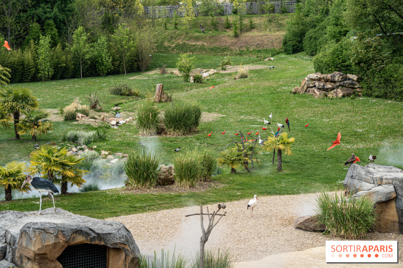 Zoo de Beauval 