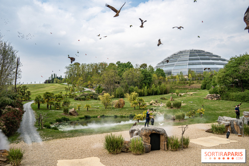 Zoo de Beauval, les astuces et bons plans pour visiter le parc
