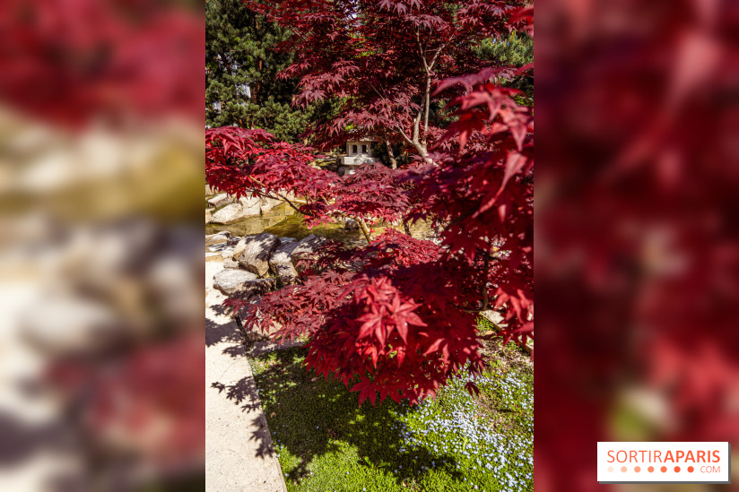 Le Jardin Japonais d'Ichikawa à Issy-les-Moulineaux