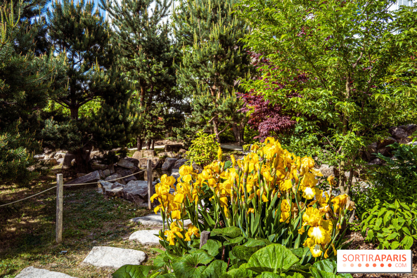 Le Jardin Japonais d'Ichikawa à Issy-les-Moulineaux