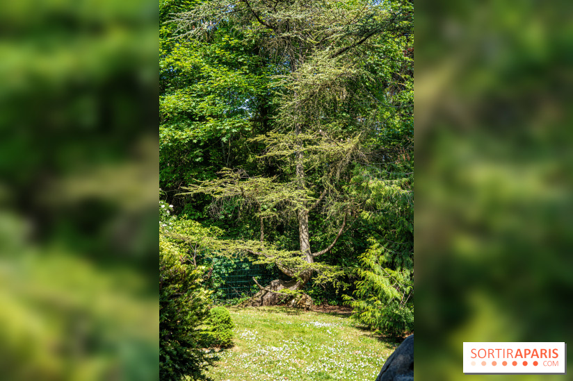 Le jardin japonais du Parc de Boulogne Edmond de Rothschild