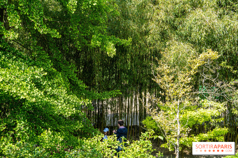Le jardin japonais du Parc de Boulogne Edmond de Rothschild
