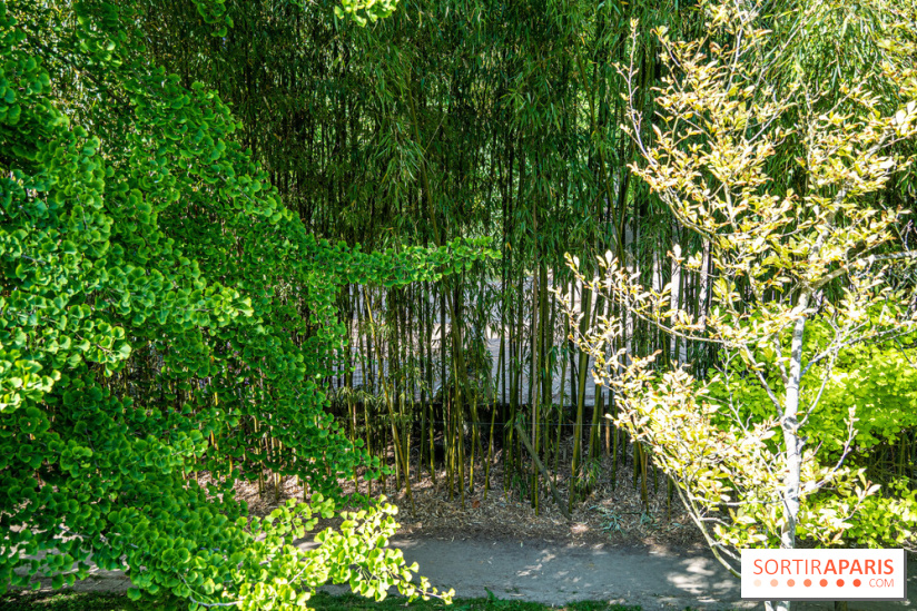 Le jardin japonais du Parc de Boulogne Edmond de Rothschild