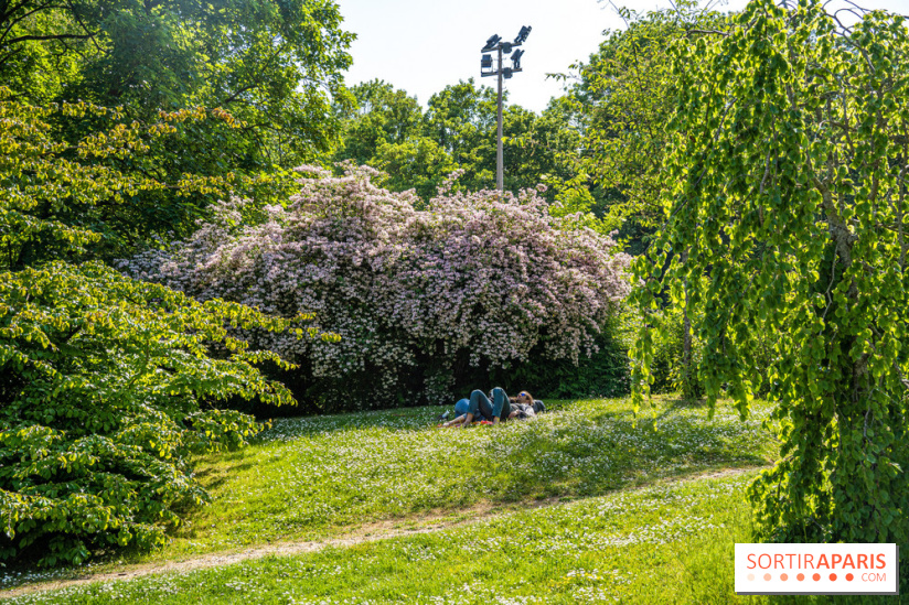 Le jardin japonais du Parc de Boulogne Edmond de Rothschild