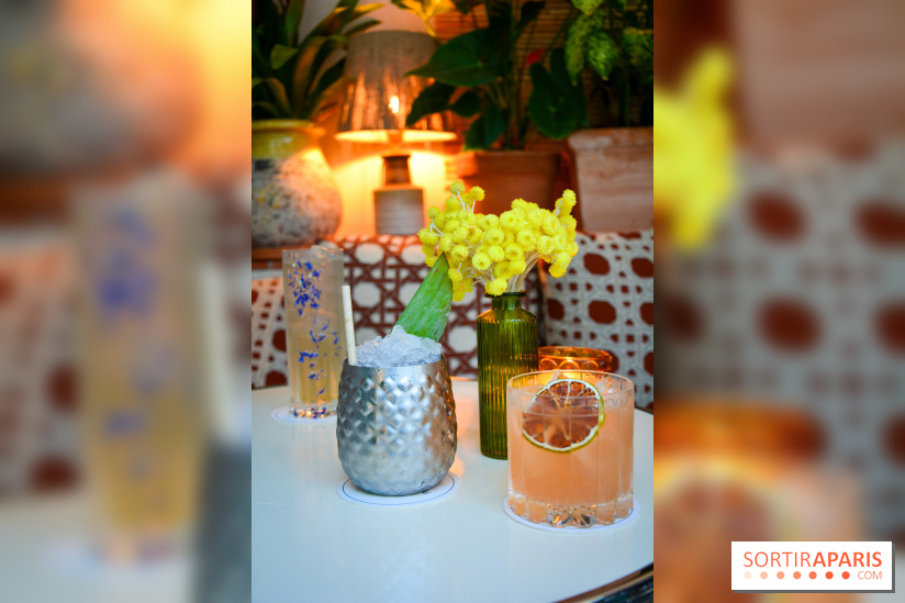 Le Petit Toit, le rooftop secret du restaurant Le Petit Victor Hugo