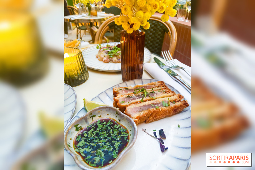 Le Petit Toit, le rooftop secret du restaurant Le Petit Victor Hugo