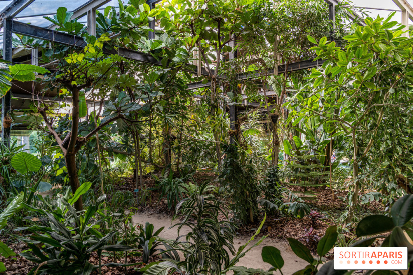 Le Parc Floral en photos 