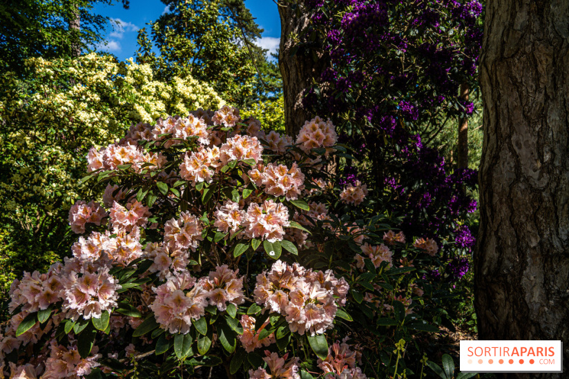 Le Parc Floral en photos 