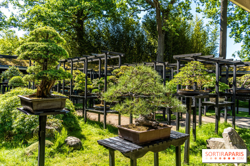 Le Parc Floral en photos 