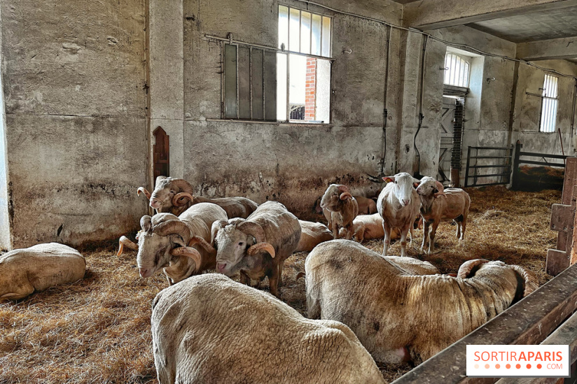 Le Château de Rambouillet et sa Bergerie nationale, un domaine d'exception en Ile-de-France