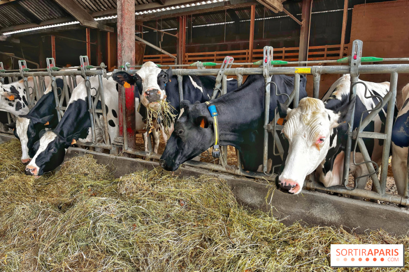 Le Château de Rambouillet et sa Bergerie nationale, un domaine d'exception en Ile-de-France