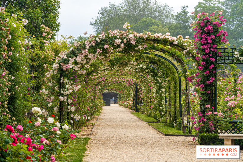 Photos : La Roseraie du val-de-Marne