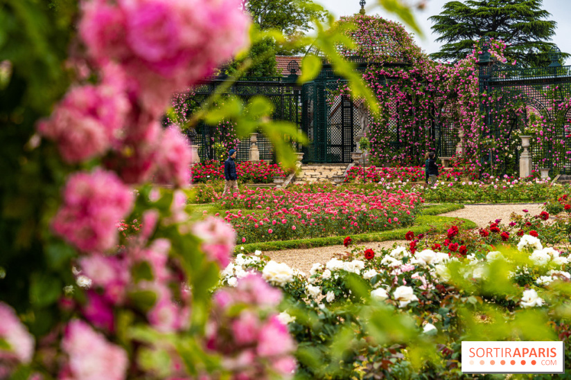 Photos : La Roseraie du val-de-Marne