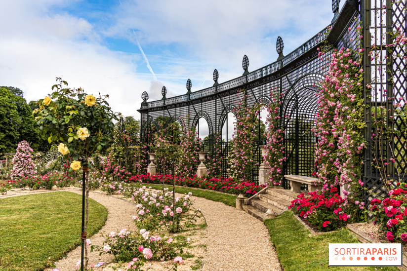 Photos : La Roseraie du val-de-Marne