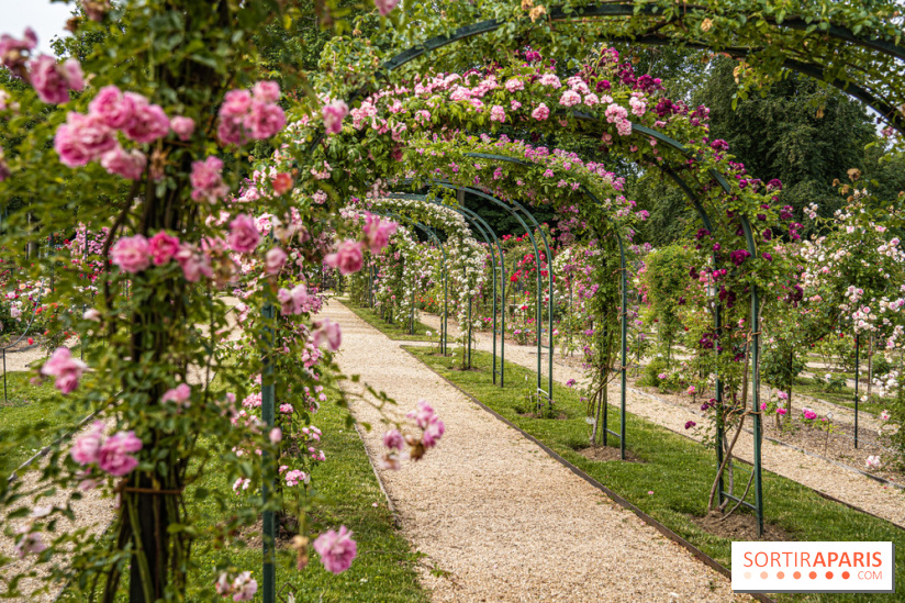 Photos : La Roseraie du val-de-Marne