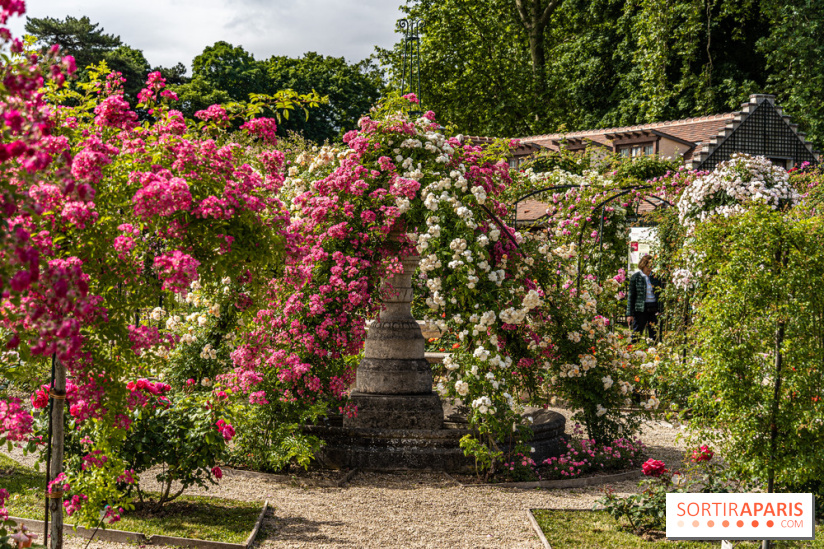 Photos : La Roseraie du val-de-Marne