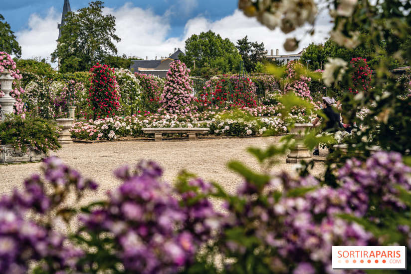 Photos : La Roseraie du val-de-Marne